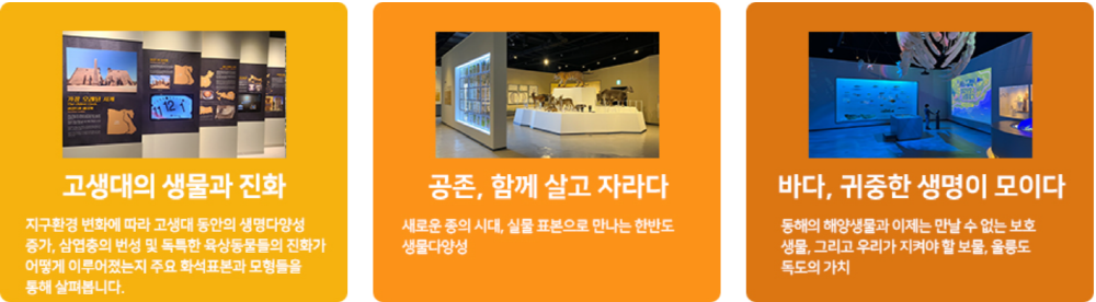 국립대구과학관