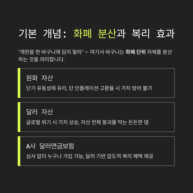 기본 개념 정리