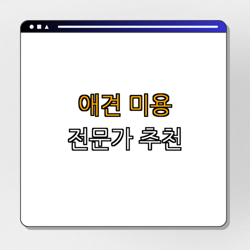 강원도 태백시 애견미용 잘하는 곳 BEST4 ｜ 강아지 미용 ｜ 애견용품 ｜ 태백 미용샵 ｜ 푸들 미용 ｜ 포메 목욕 ｜ 총정리