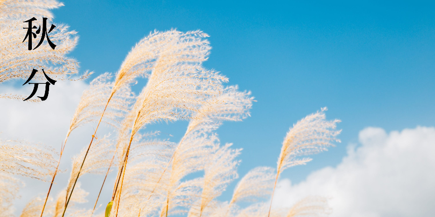 계절의 변화를 세분화한 24 절기 중 '추분' 이해하기