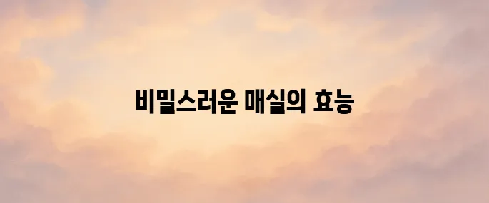 매실 효능 총정리│소화·피로회복에 좋은 전통 과일