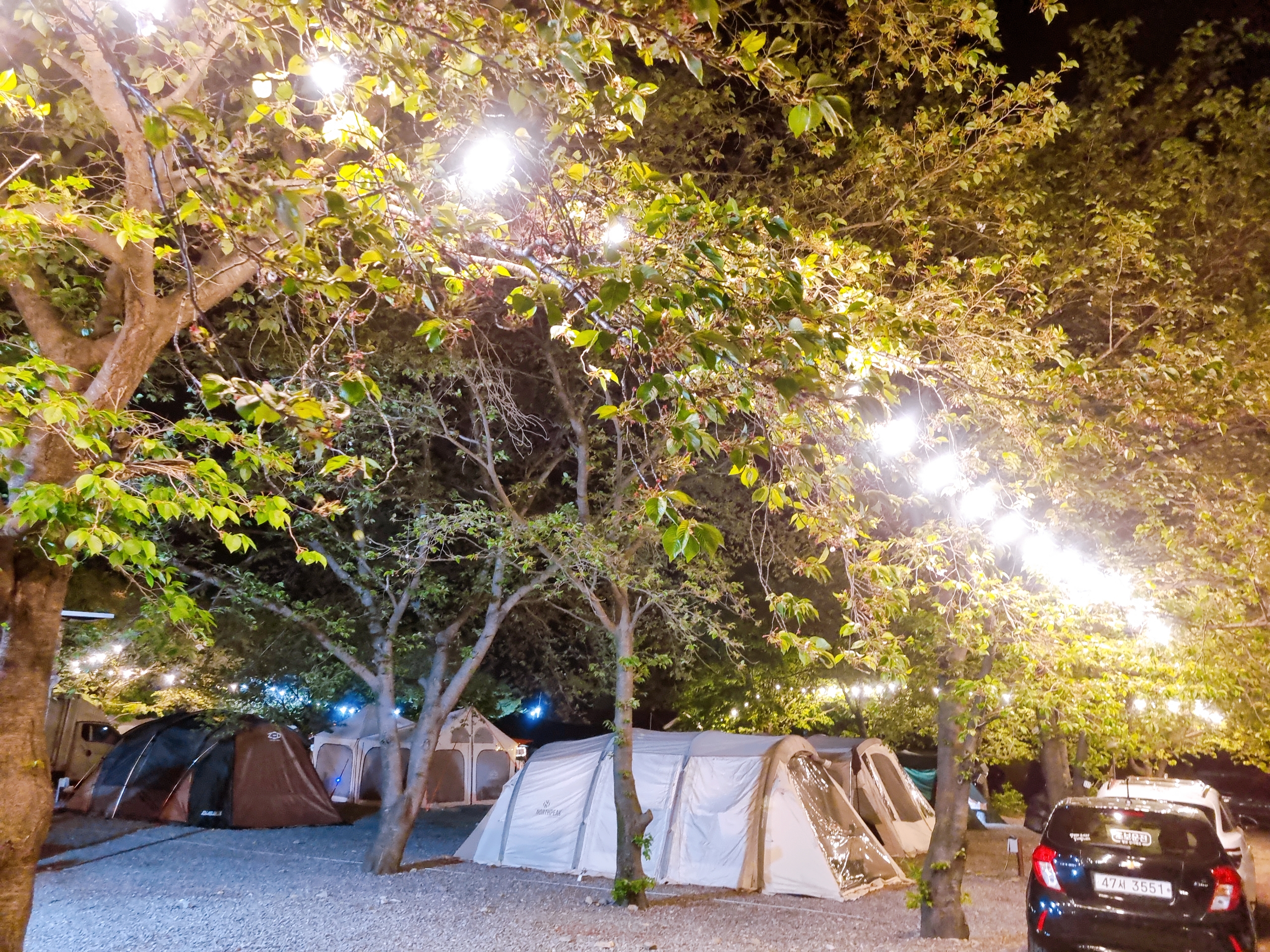 밀양 테마캠핑장