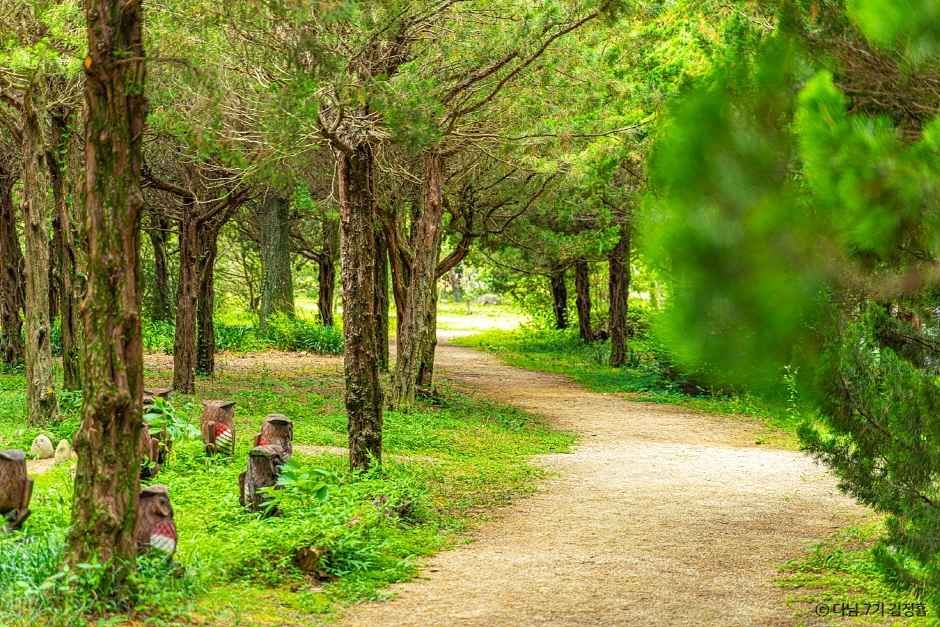 천개의 향나무숲