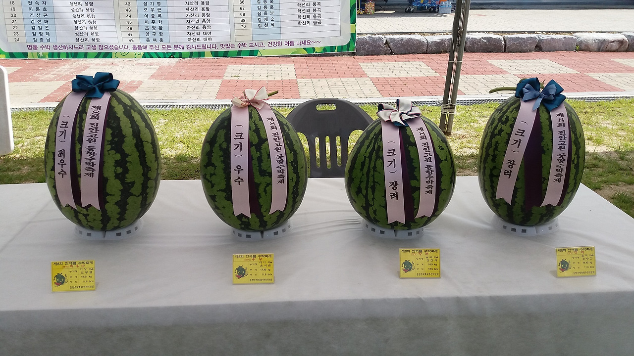 2025 제15회 진안고원 수박축제 완벽 가이드 ❘ 한여름 달콤한 진안 여행의 필수 코스