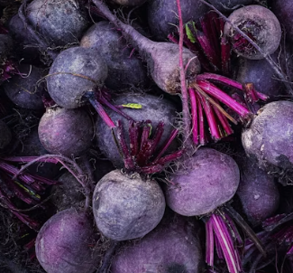 칼슘 하루 권장량 성인 1일 섭취방법