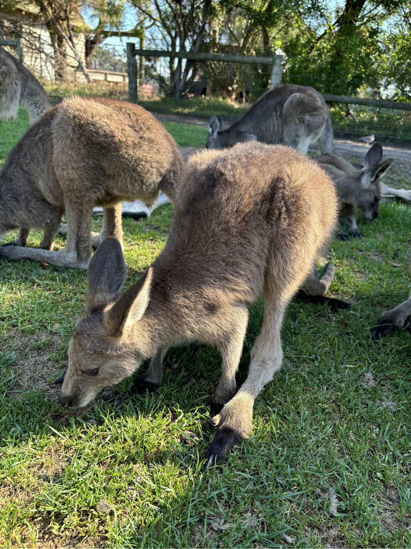 호주-멜버른-1~3월-날씨와-옷차림-여행-코스-패키지-투어-추천