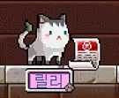제외 적용된 모습