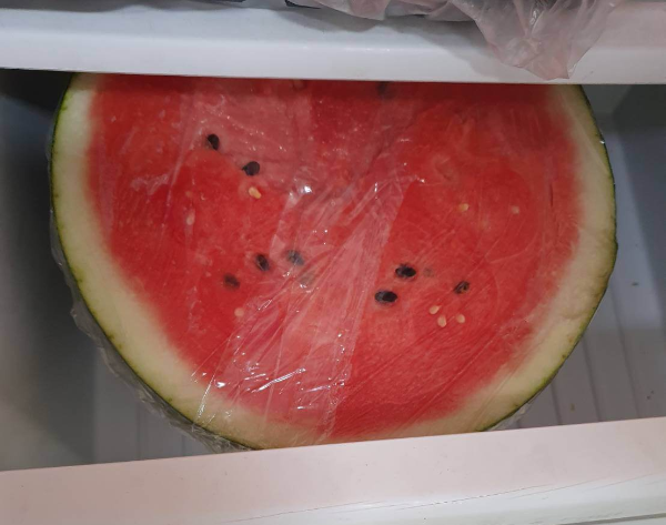 수박사진