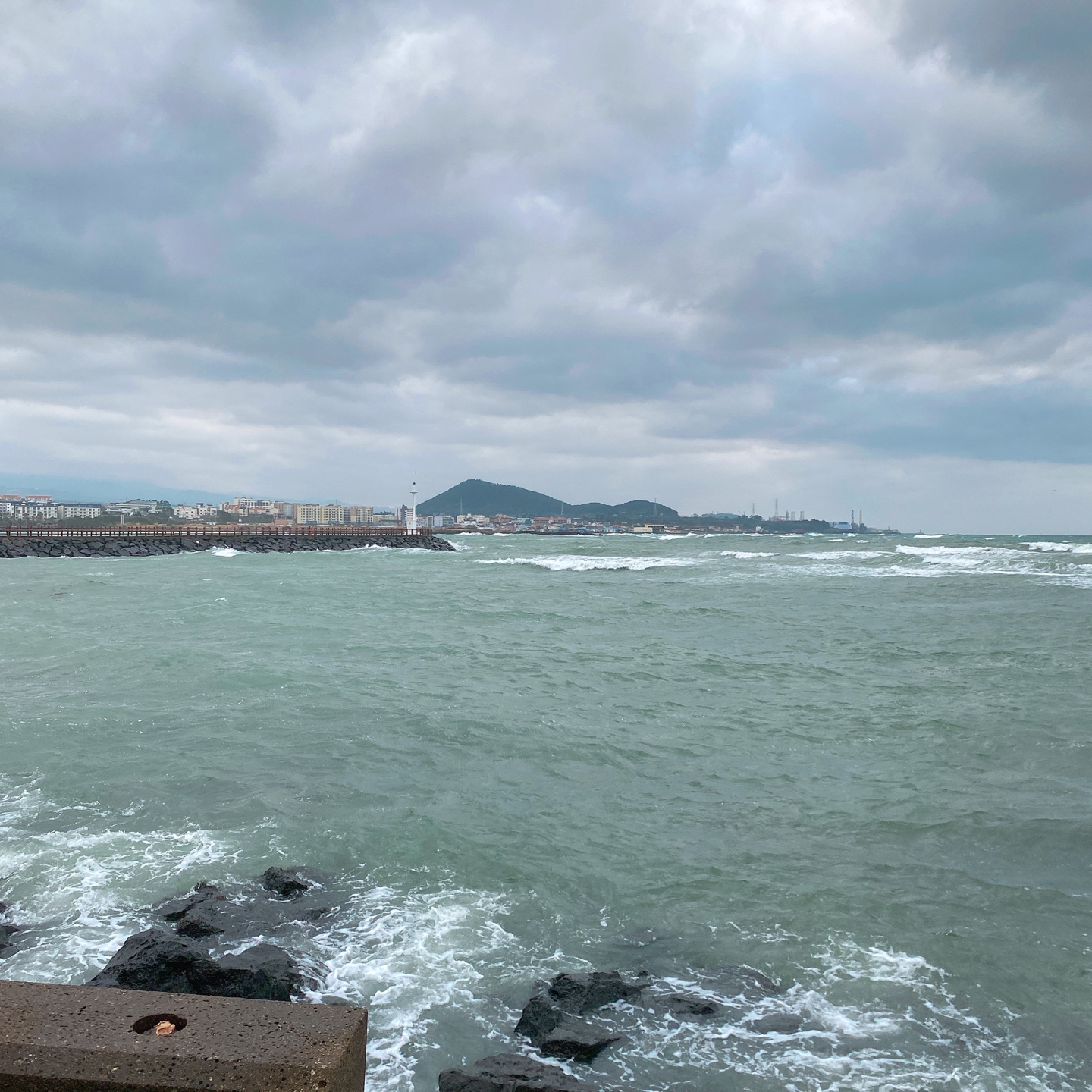 제주 조천방파제 오션뷰 로스터리 베이커리 카페 시소