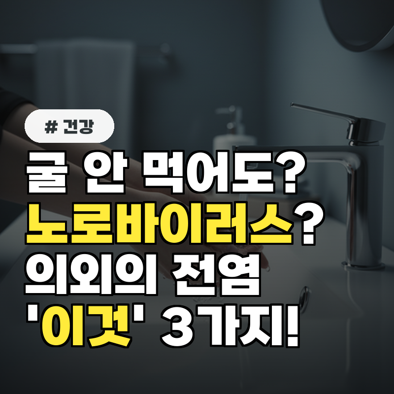 굴 안 먹었는데 노로바이러스 의외로 전염되는 일상 속 '이것' 3가지