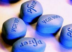 비아그라주요-사진1