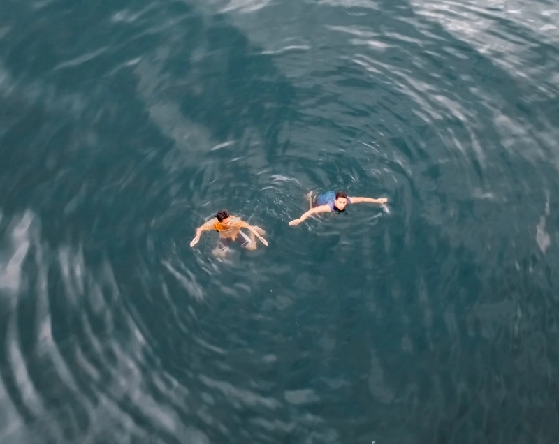 2025년 초복 중복 말복 날짜