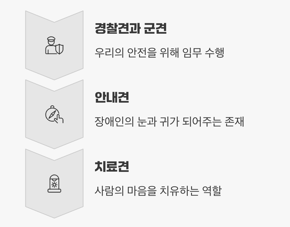 세상 모든 개들을 위한 날