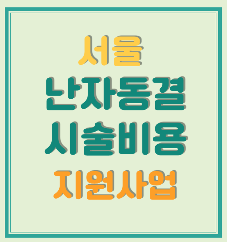 서울 난자동결 시술비용 지원사업