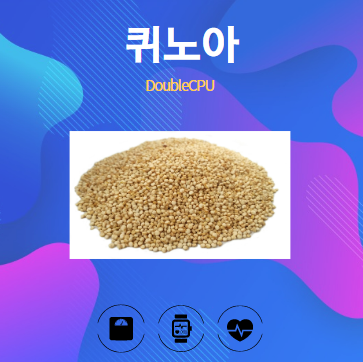 퀴노아