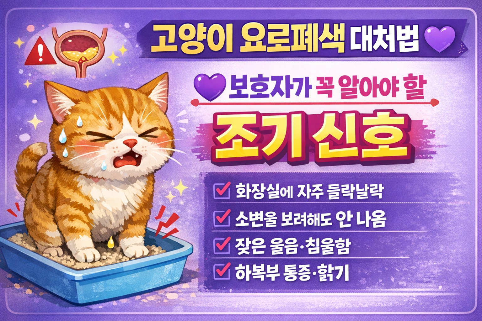 고양이 요로폐색 대처법