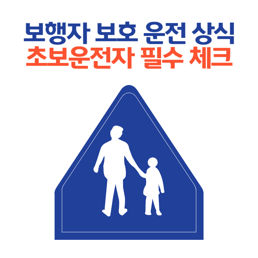 보행자 보호 운전 상식 ❘ 초보운전자 필수 체크