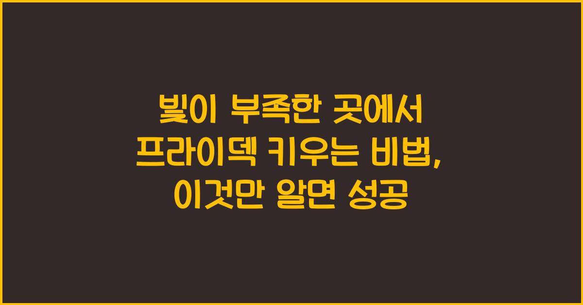 빛이 부족한 곳에서 프라이덱 키우는 비법