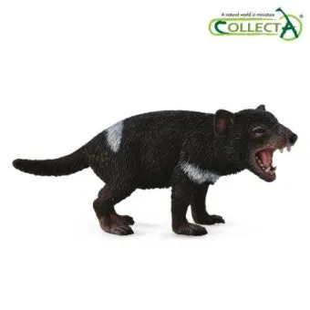 태즈메이니아 데빌 특징 매력 성격_13