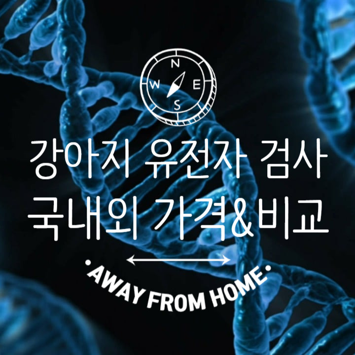 강아지 유전자 검사