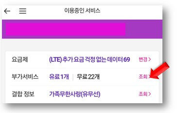 부가서비스-조회-클릭