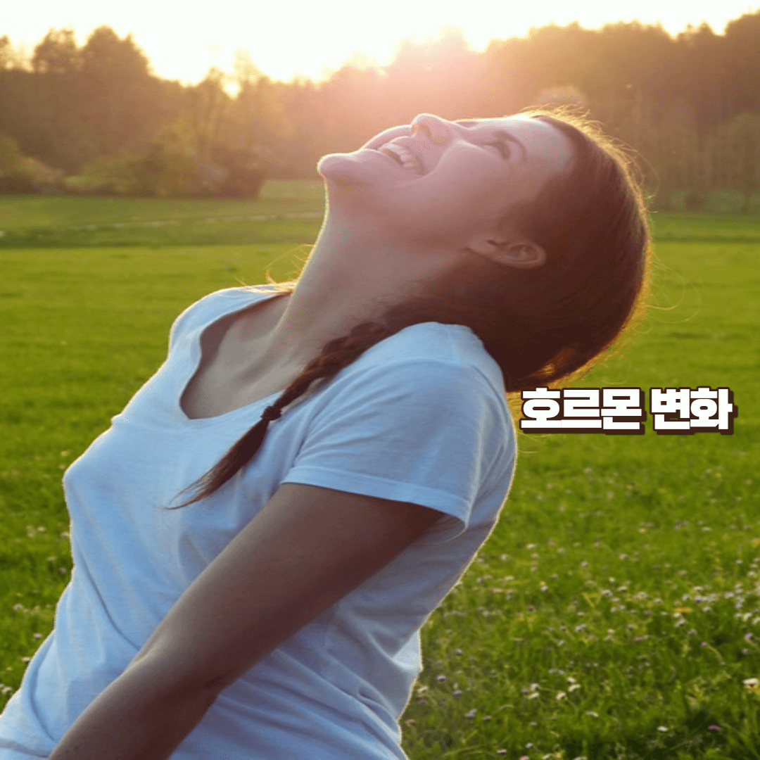 기미 없애는 방법