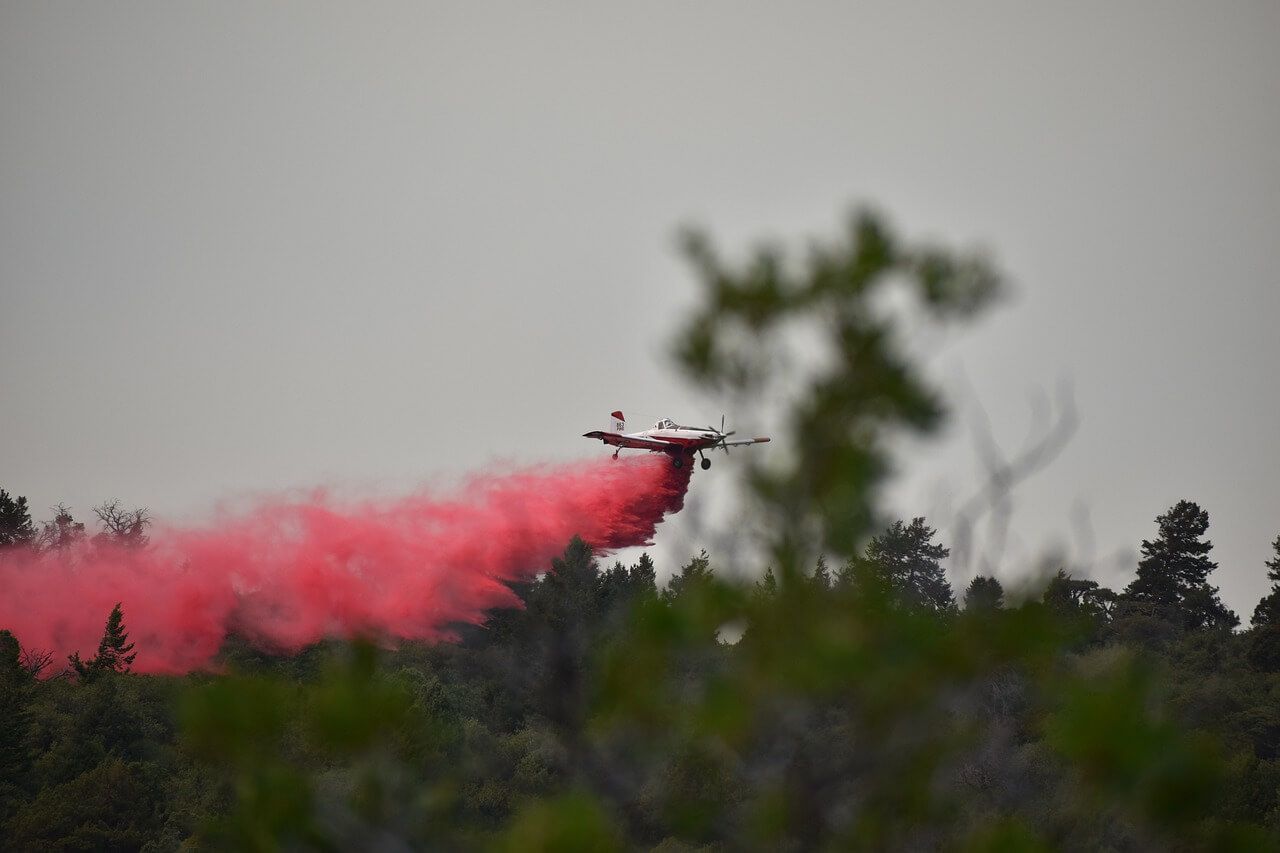 LA 산불 원인과 실시간 대처 현황 알아보기