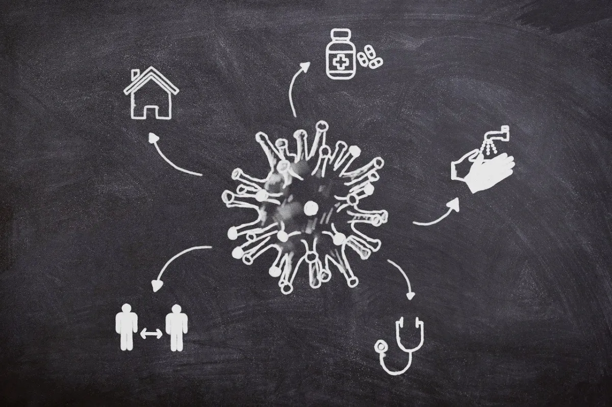 바이러스의 전파와 예방