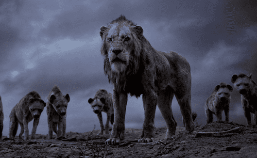 영화-라이온킹-라이온