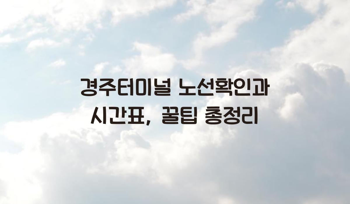 경주터미널 노선확인