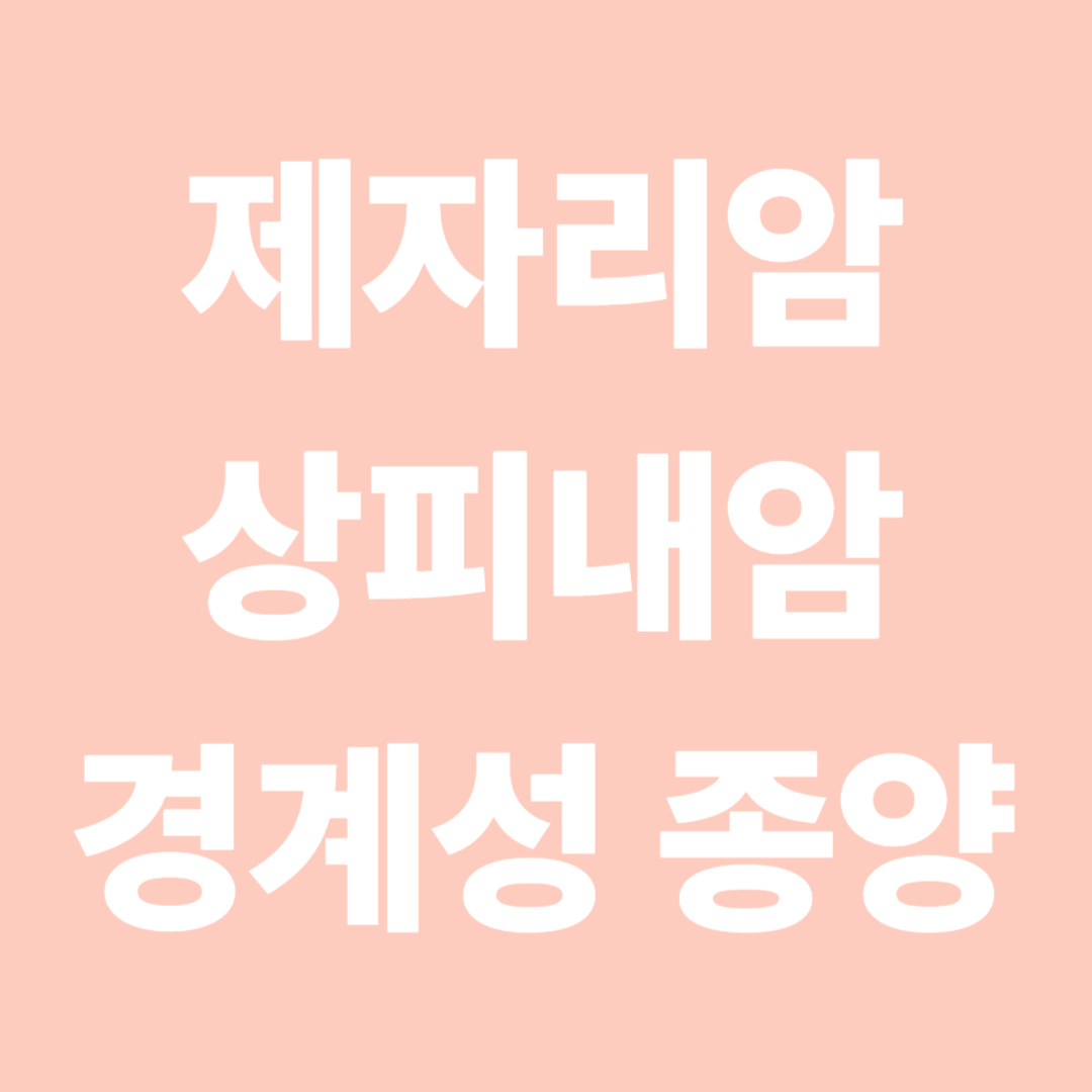 제자리암 vs 상피내암 vs 경계성 종양
