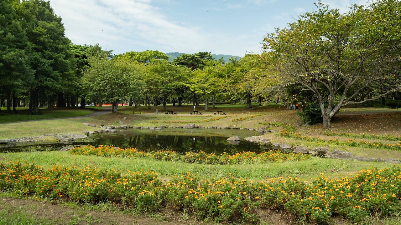 규슈여행 관련사진