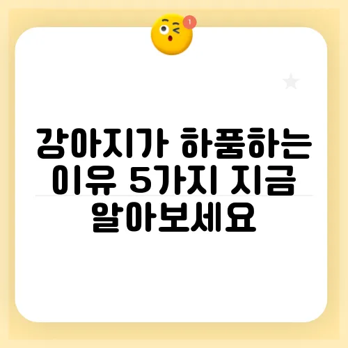 강아지가 하품하는 이유 5가지 지금 알아보세요