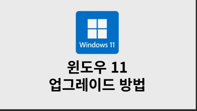 원도우11 무료 업그레이드 가이드