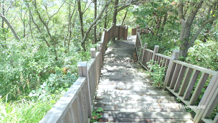 백양산 등산계단