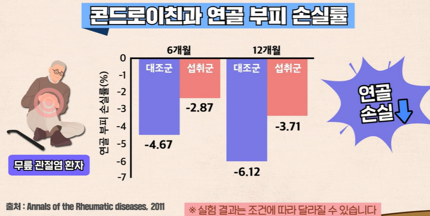 콘드로이친 효능