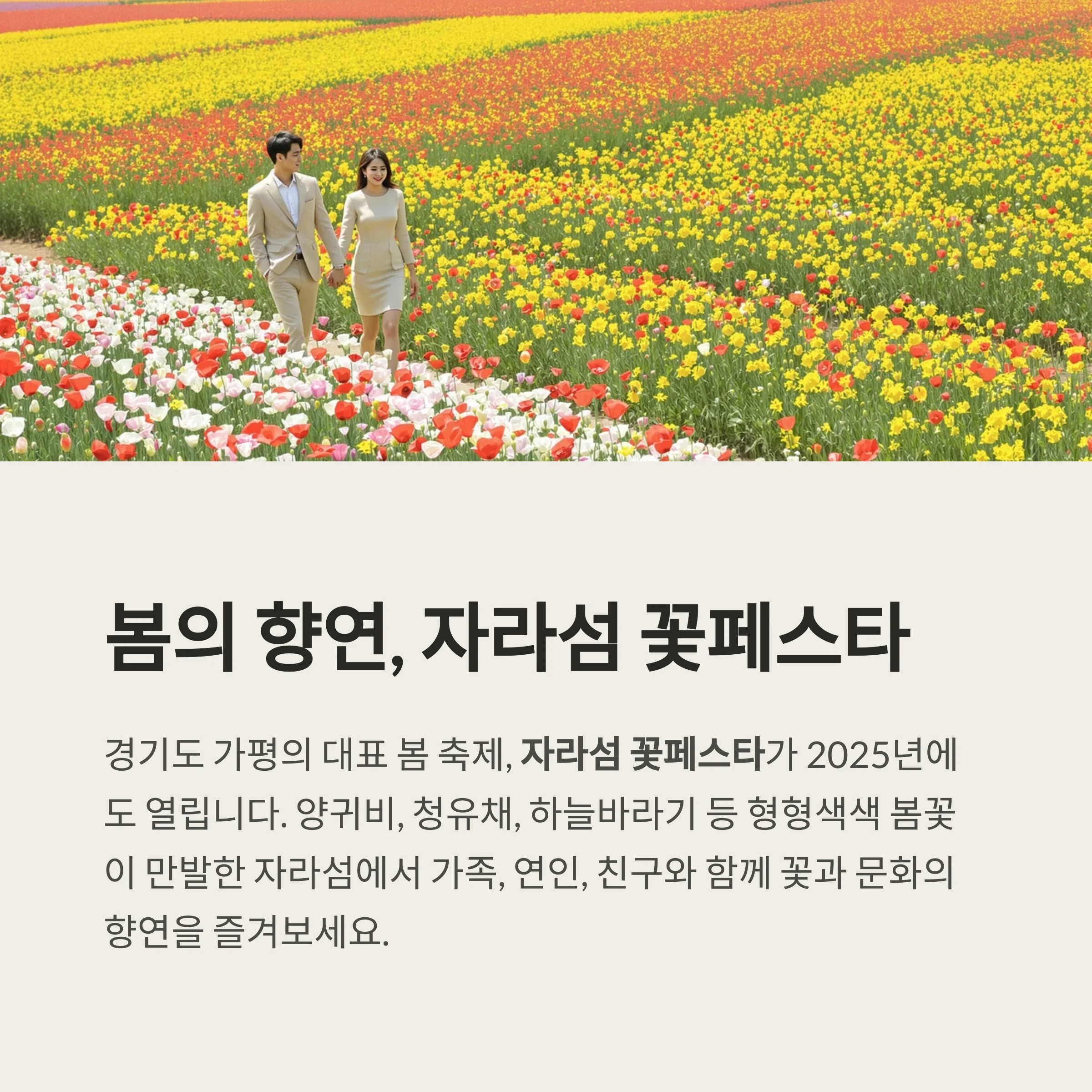 가평 자라섬 꽃페스타