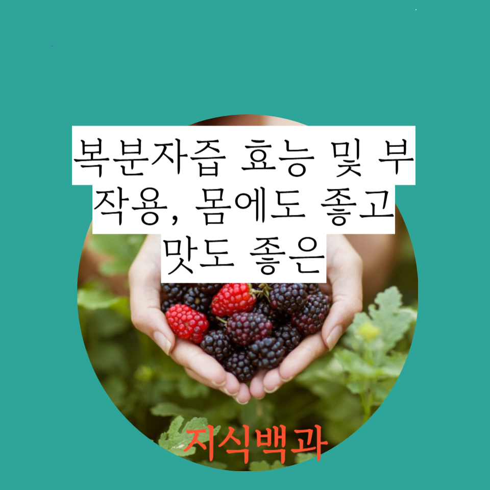 복분자즙 효능 및 부작용, 몸에도 좋고 맛도 좋은