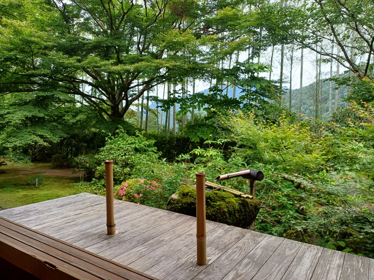 호센인_액자정원_대나무와_우물