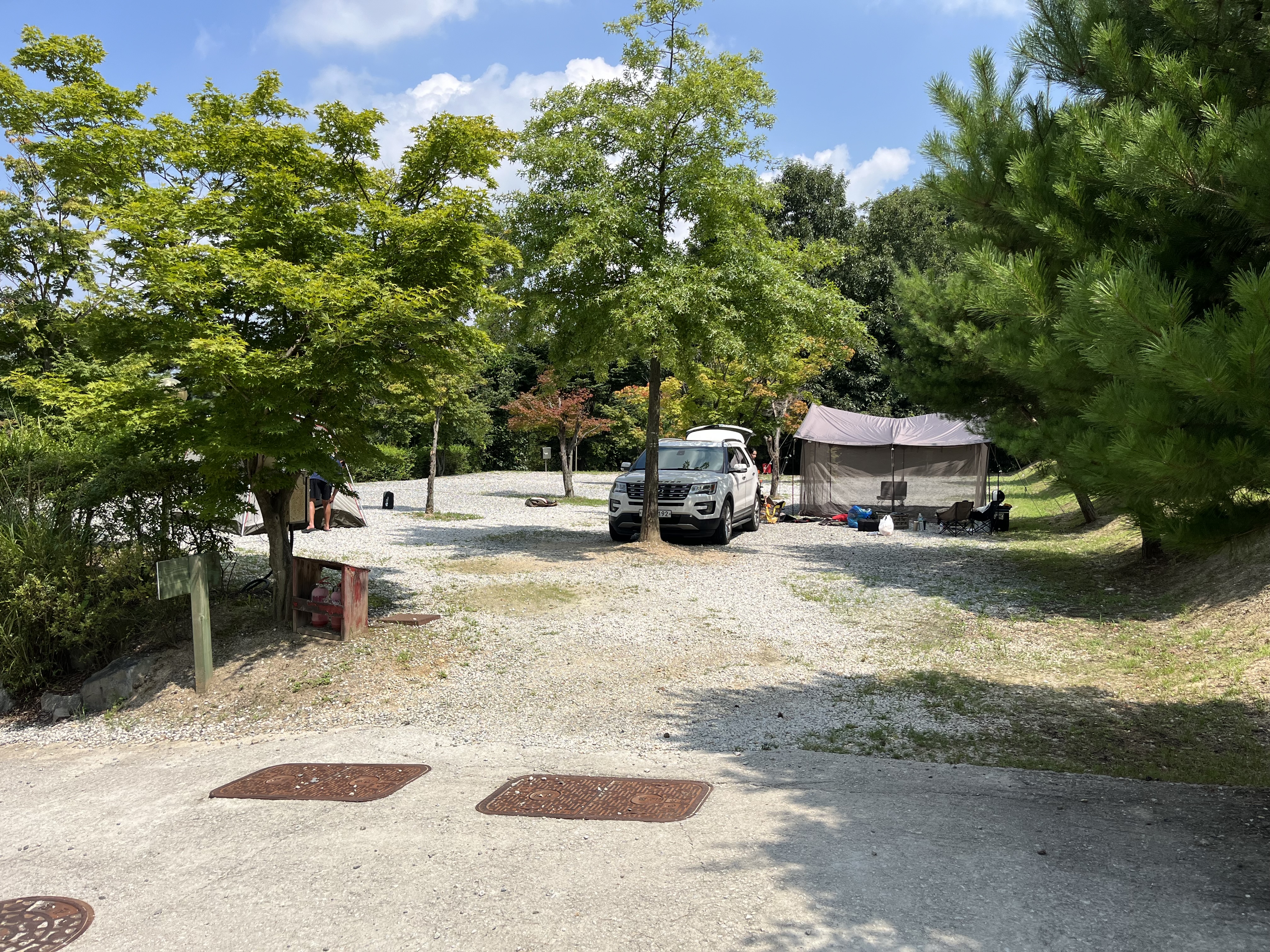 단풍숲 캠핑장 꿀꿀이 사이트