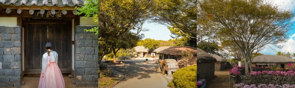 생생정보통 오늘방송(3월 3일) 맛집 제주민속촌,강구리마을,가파도,가파도해녀촌식당,제주돌문화공원,사자바위