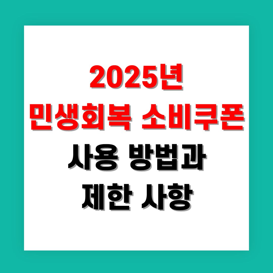 2025년 민생회복 소비쿠폰 사용 방법과 제한 사항