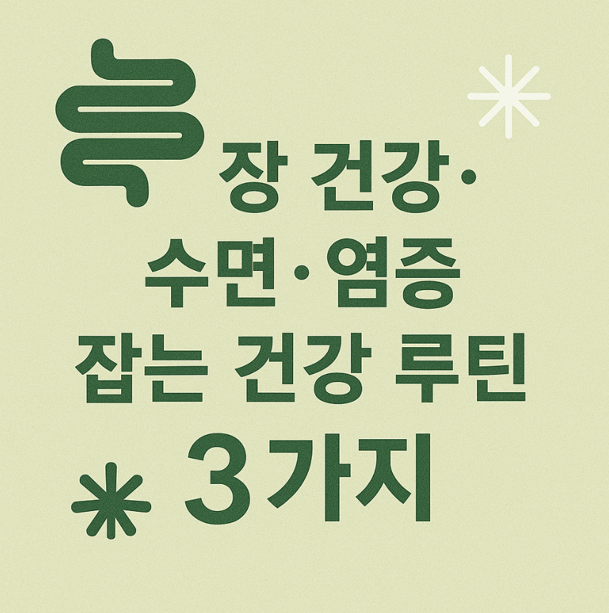 장 건강 루틴