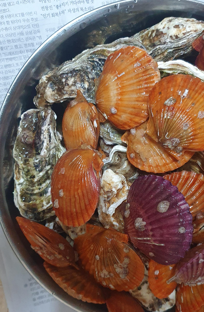홍가리비 2kg + 굴 석화 5kg 전체양 