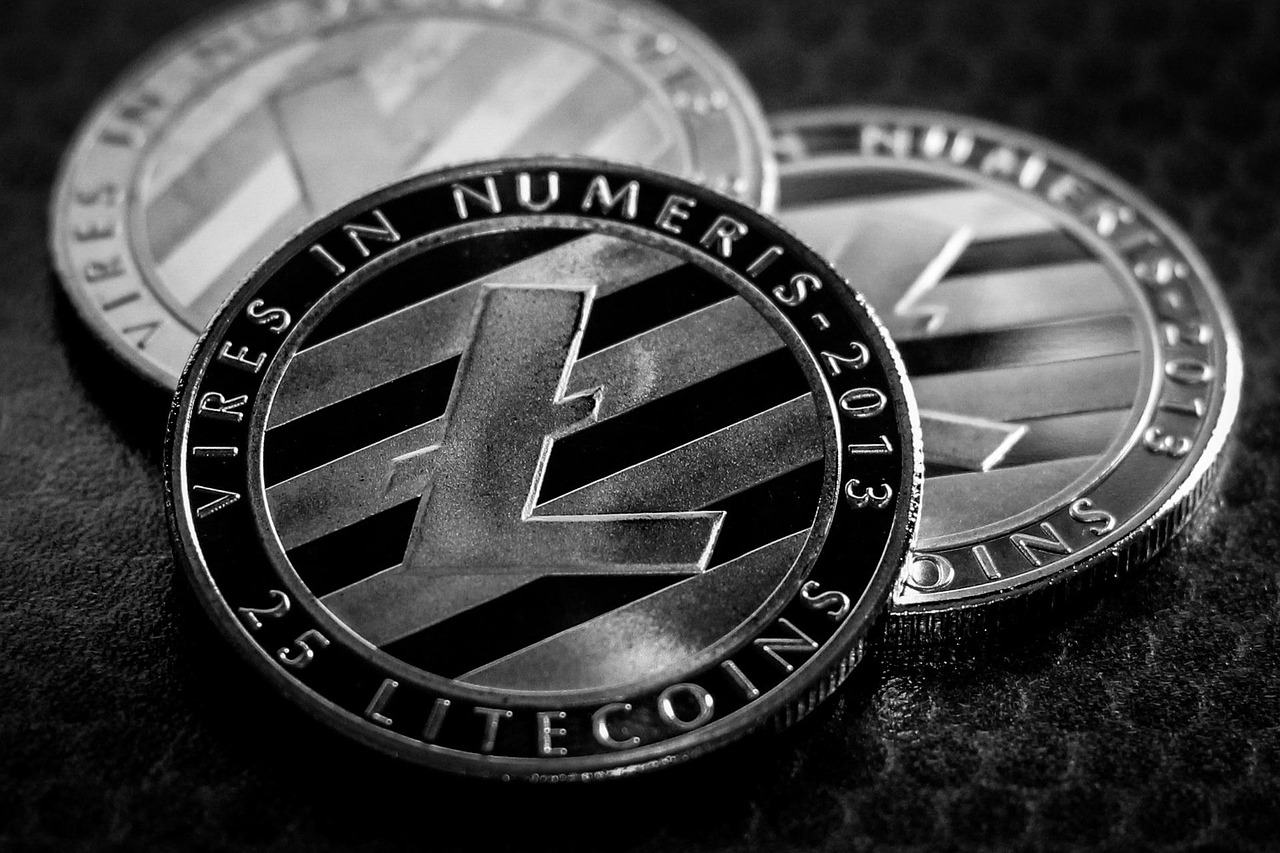 리플(XRP)-시세-전망-2025년-전문가-예측