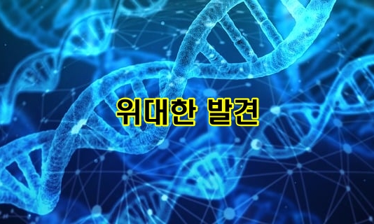 위대한 발견