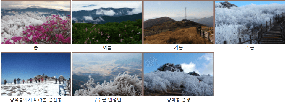 향적봉 1코스