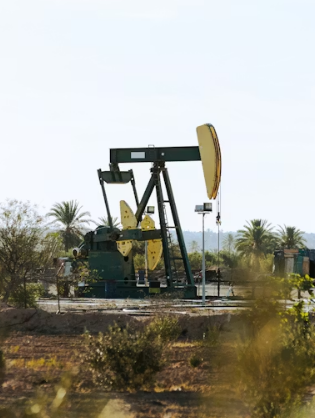 물가 지원 정책 전기요금 지원 완벽 가이드