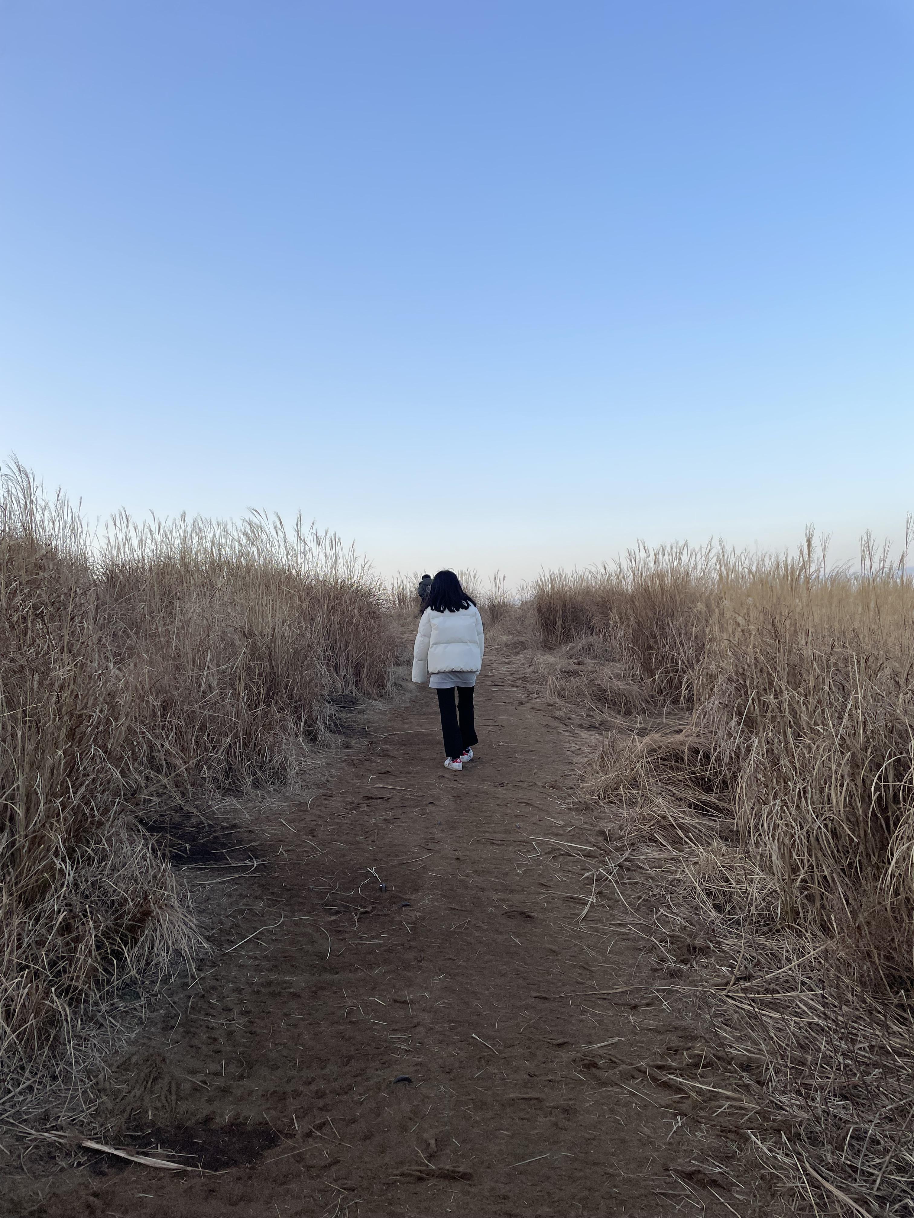 새별오름동쪽등산로 