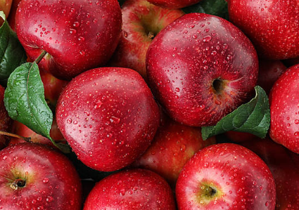 콜레스테롤 낮추는 음식